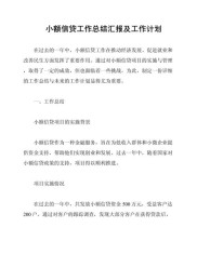 个贷中心学习总结报告：房地产不景气下的个人信贷业务成果
