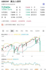 人民币对美元汇率中间价连续两日上涨 创20个月最大单日涨幅
