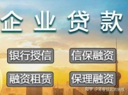 外汇担保人民币贷款：期限、银行和借款人条件