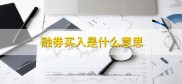 融券买入、股票破净及卖出资金转出规则的相关解释