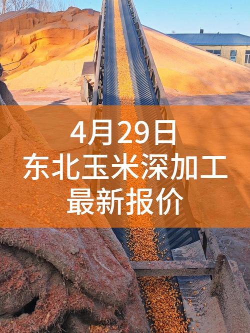 渤海商品交易所+开户_玉米（东北）期货交易_渤海商品交易所玉米（东北）价格走势