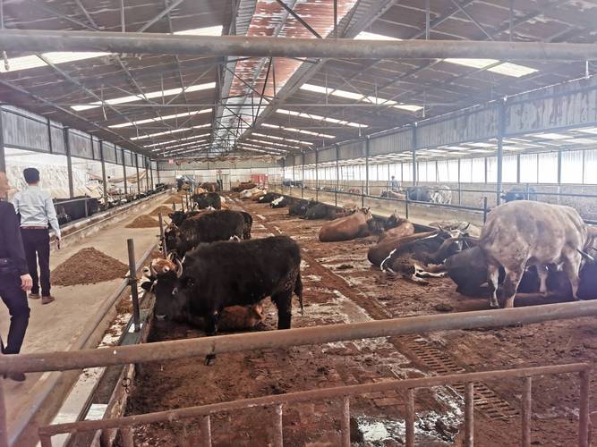 邮储银行产业贷款_贵州养殖业贷款_养殖户贷款政策