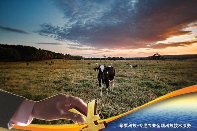 物联网监管_贵州养殖业贷款_智慧畜牧贷