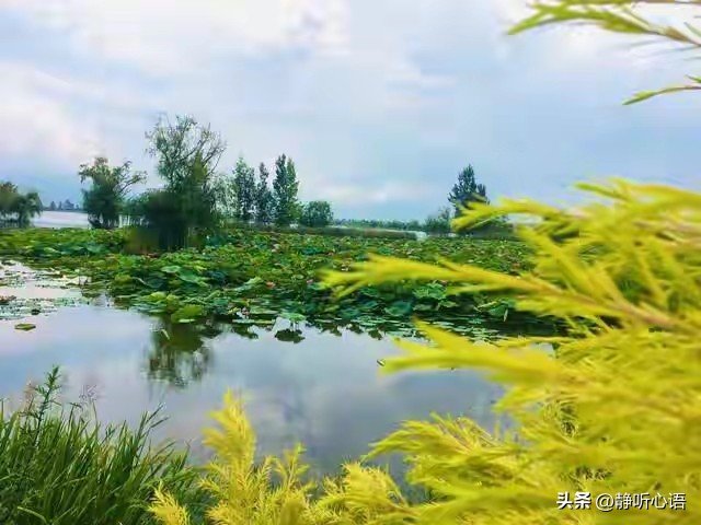 金融骗局_金融圈理财真假_熟人诈骗