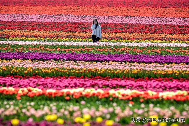 虚拟币投资防骗技巧_金融圈理财真假_高息理财骗局识别