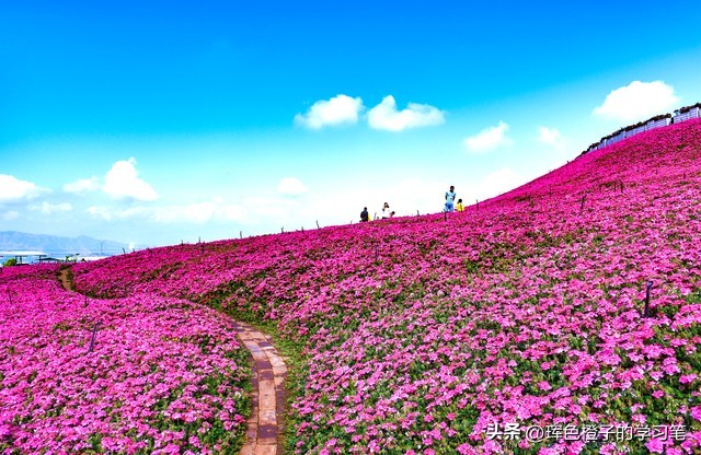 高息理财骗局识别_金融圈理财真假_虚拟币投资防骗技巧