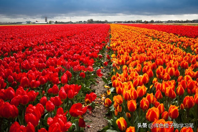 金融圈理财真假_高息理财骗局识别_虚拟币投资防骗技巧