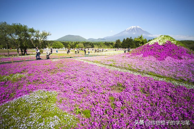 虚拟币投资防骗技巧_高息理财骗局识别_金融圈理财真假