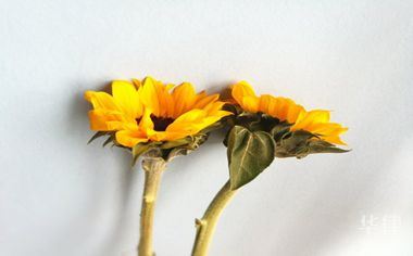 二手车怎么贷款买