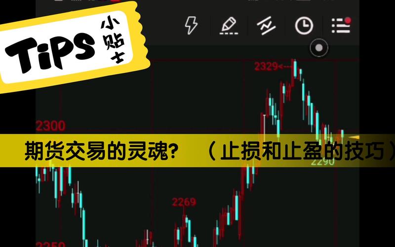 期货交易止损策略_抗风险能力培养_期货止损点的设立