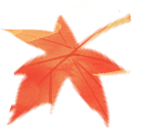 深圳公积金贷款买车_深圳公积金缴存数据_深圳住房公积金制度