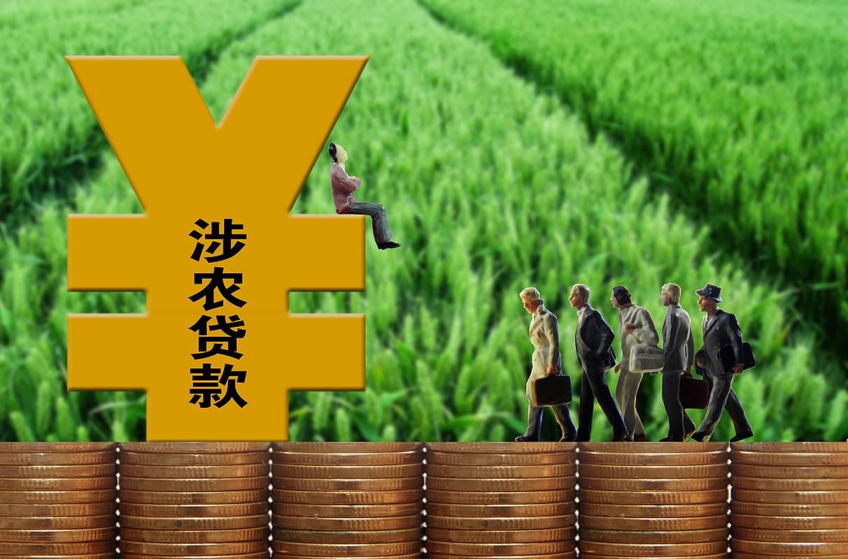 个人住房循环授信业务_中国农业银行-个人住房循环贷款_银行收紧循环贷款政策