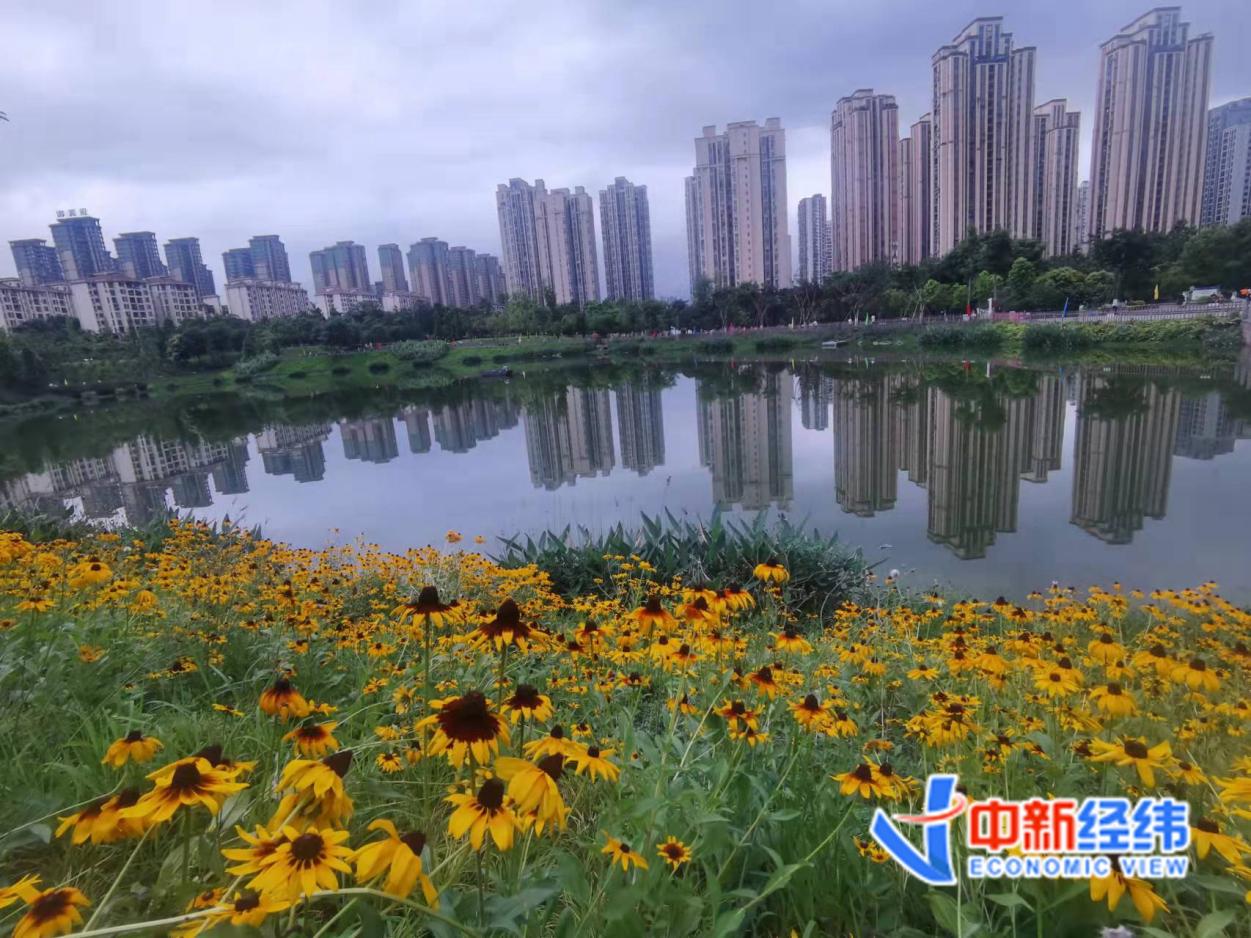 长沙二套房公积金贷款政策_多地调整公积金政策_提高公积金贷款额度