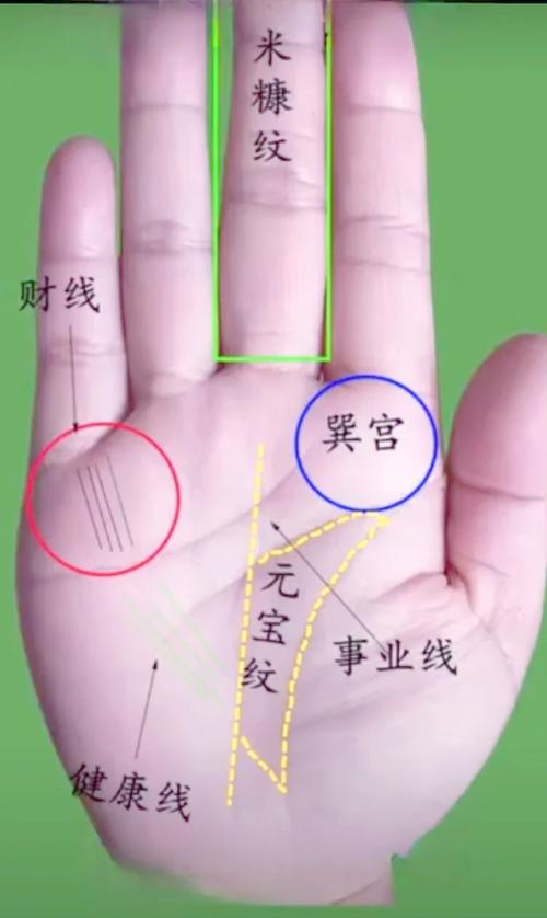 理财线手相图解_手相断富贵_古代手相故事