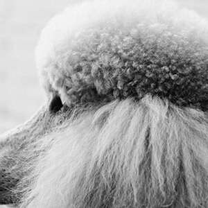 未面谈及查看证据材料律师回答仅供参考_私人高利贷款后果_民间高利贷款